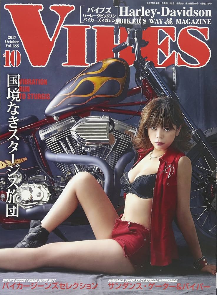 VIBES (バイブズ) 2017年 10月号 [雑誌] |本 | 通販 | Amazon